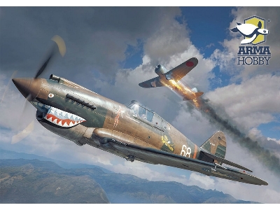 Curtiss Hawk 81-A2 - image 2