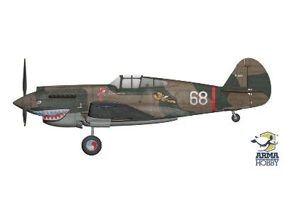 Curtiss Hawk 81-A2 - image 3