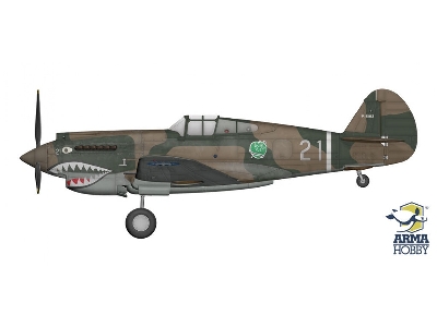 Curtiss Hawk 81-A2 - image 4