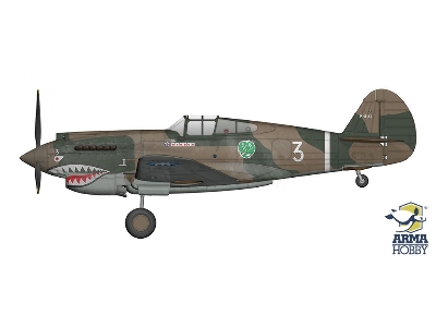 Curtiss Hawk 81-A2 - image 5