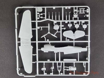 Curtiss Hawk 81-A2 - image 7