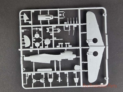 Curtiss Hawk 81-A2 - image 8