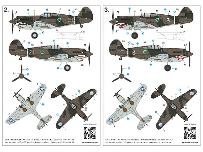 Curtiss Hawk 81-A2 - image 19