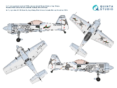 Sukhoi Su-31 Around The World Part 1 With 3d-printed And Fiberglass Resin Parts (For Quinta Studio Kits) - image 4