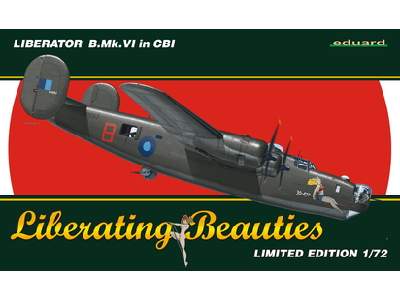 Liberator B.  Mk.  VI in CBI 1/72 - image 1