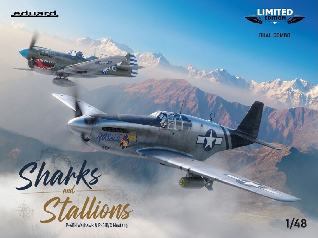 Sharks And Stallions Dual Combo (P-40 N  And P-51 B/C) - image 1