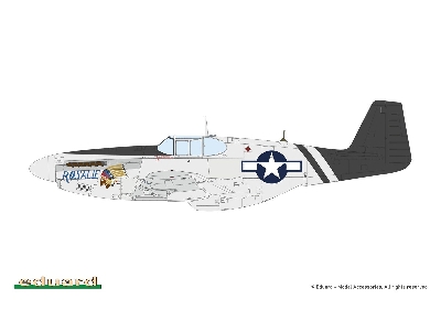 Sharks And Stallions Dual Combo (P-40 N  And P-51 B/C) - image 2