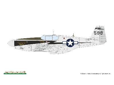 Sharks And Stallions Dual Combo (P-40 N  And P-51 B/C) - image 6