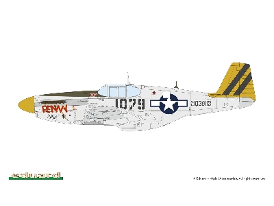 Sharks And Stallions Dual Combo (P-40 N  And P-51 B/C) - image 7