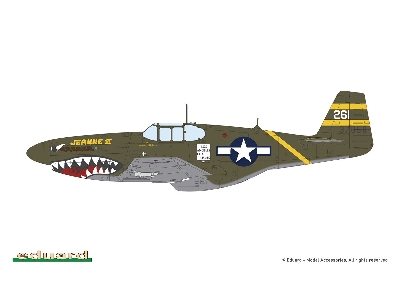 Sharks And Stallions Dual Combo (P-40 N  And P-51 B/C) - image 8