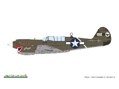 Sharks And Stallions Dual Combo (P-40 N  And P-51 B/C) - image 9