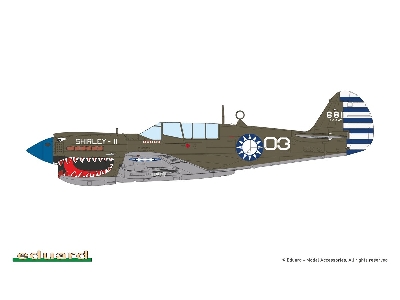 Sharks And Stallions Dual Combo (P-40 N  And P-51 B/C) - image 10