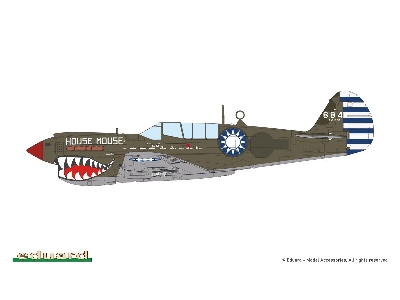 Sharks And Stallions Dual Combo (P-40 N  And P-51 B/C) - image 12