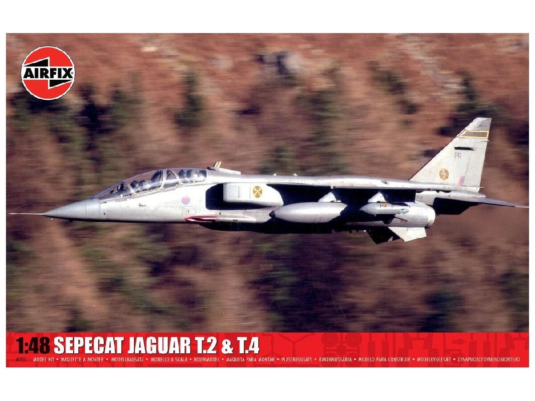 Sepecat Jaguar T.2 & T.4 - image 1