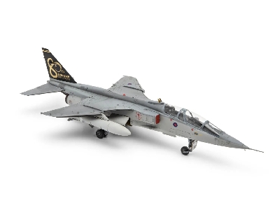 Sepecat Jaguar T.2 & T.4 - image 4