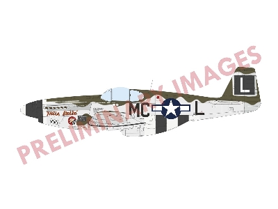North American P-51 B Mustang (Malcolm Hood Canopy) Hybrid Edition - image 7