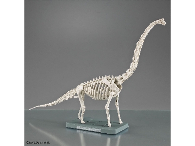 Plannosaurus - Brachiosaurus - image 8