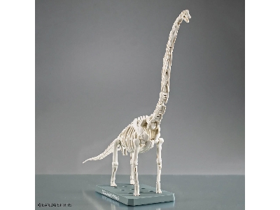 Plannosaurus - Brachiosaurus - image 9