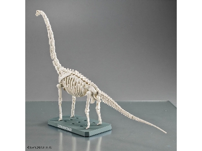 Plannosaurus - Brachiosaurus - image 10