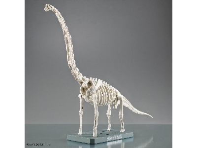 Plannosaurus - Brachiosaurus - image 11