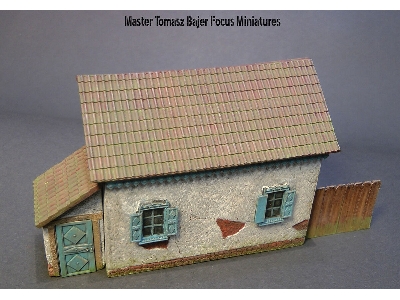 Ukrainian Village House - image 1