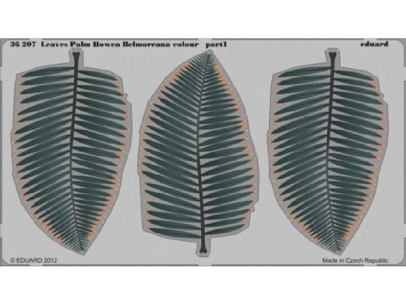 Leaves Palm Howea Belmoreana colour 1/35 - image 1