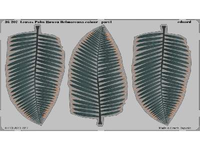 Leaves Palm Howea Belmoreana colour 1/35 - image 2