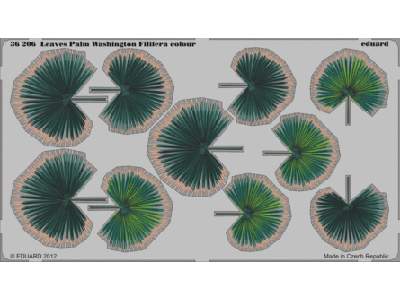 Leaves Palm Washington Filifera colour 1/35 - image 1