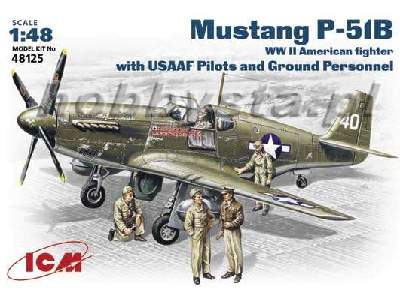 Mustang P-51D with USAAF Pilots and Ground Personnel - image 1