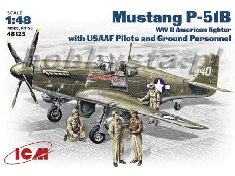 Mustang P-51D with USAAF Pilots and Ground Personnel - image 1