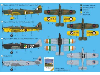 Miles Magister - British Trainer - image 2