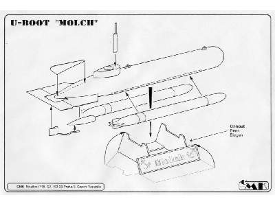 Molch - image 3