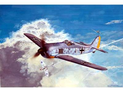 Micro Wings Focke Wulf Fw 190A-8 - image 1