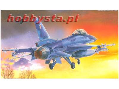 F-16 C Block - polskie oznaczenia - image 1