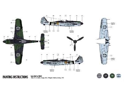 Focke Wulf Fw190D Starter Set - image 2