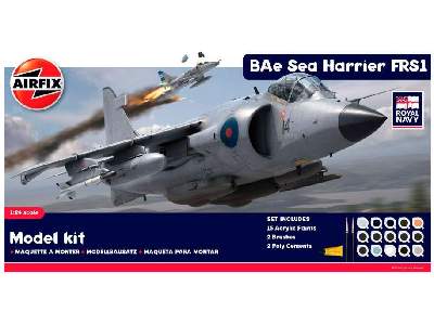 BAe Sea Harrier FRS1 Gift Set - image 1