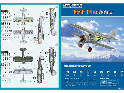 RAF Gladiator - image 4