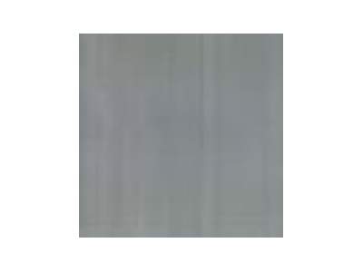 Silver - paint - image 1