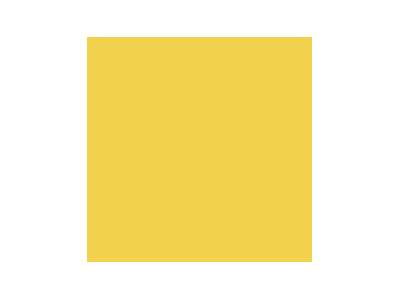  Yellow - paint - image 1