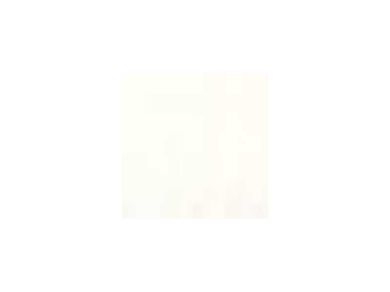  Foundation White MC002 paint - image 1