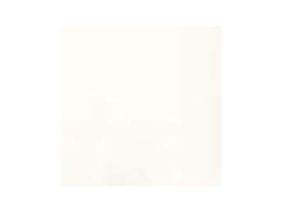  Ivory MC005 paint - image 1