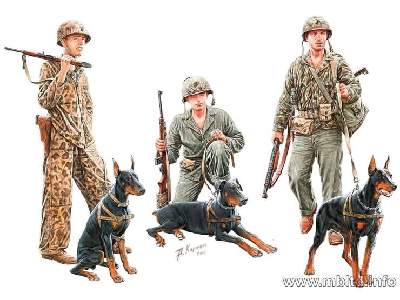 Dogs in service in the US Marine Corps, WW II era - image 1