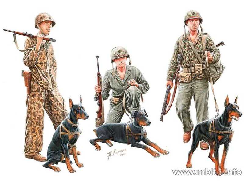 Dogs in service in the US Marine Corps, WW II era - image 1