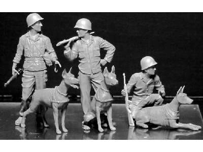 Dogs in service in the US Marine Corps, WW II era - image 3