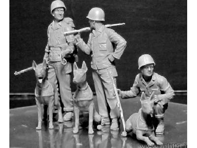 Dogs in service in the US Marine Corps, WW II era - image 4