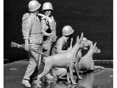 Dogs in service in the US Marine Corps, WW II era - image 7