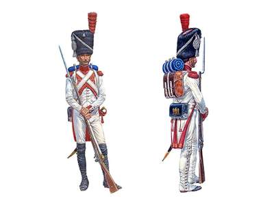 Holenderski Grenadier Gwardii Cesarskiej - Wojny Napoleońskie - image 3