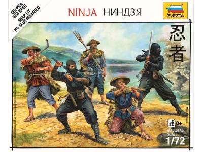 Ninja - image 1