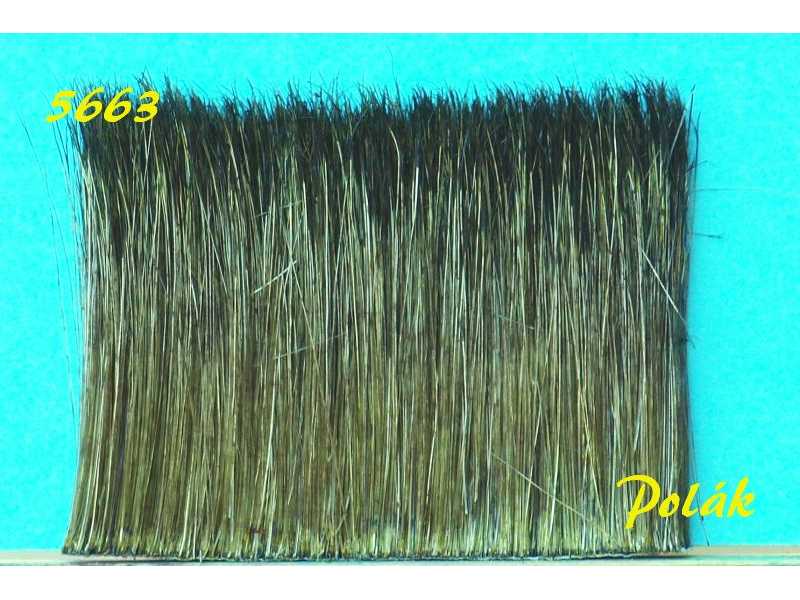 Reed - dark green - image 1