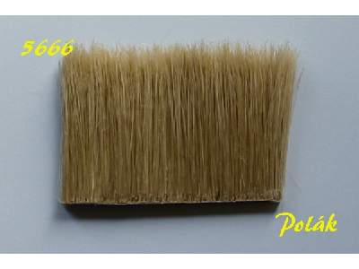 Reed - beige - image 1